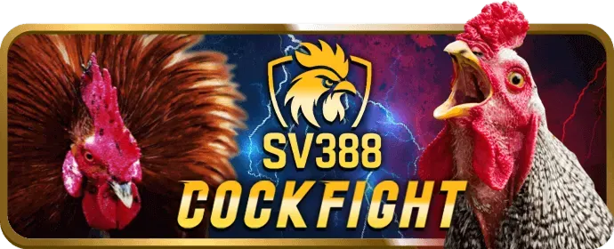 Trải nghiệm casino trực tuyến vip69